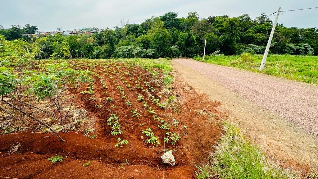 Terreno à venda, 213m² - Foto 5