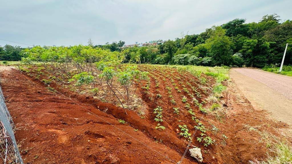 Terreno à venda, 213m² - Foto 2