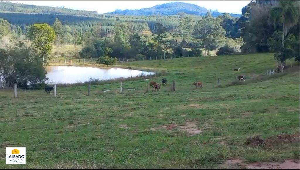 Fazenda à venda - Foto 1