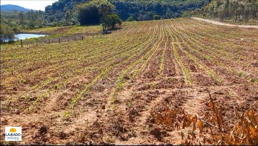 Fazenda à venda - Foto 19