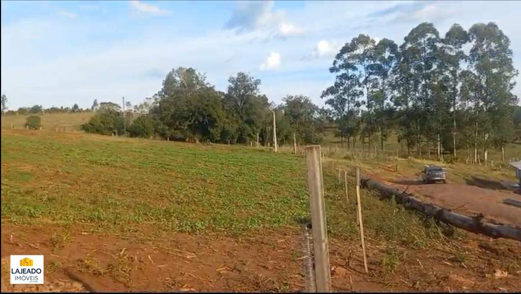 Fazenda à venda - Foto 6