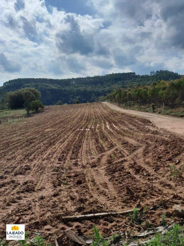 Fazenda à venda - Foto 18