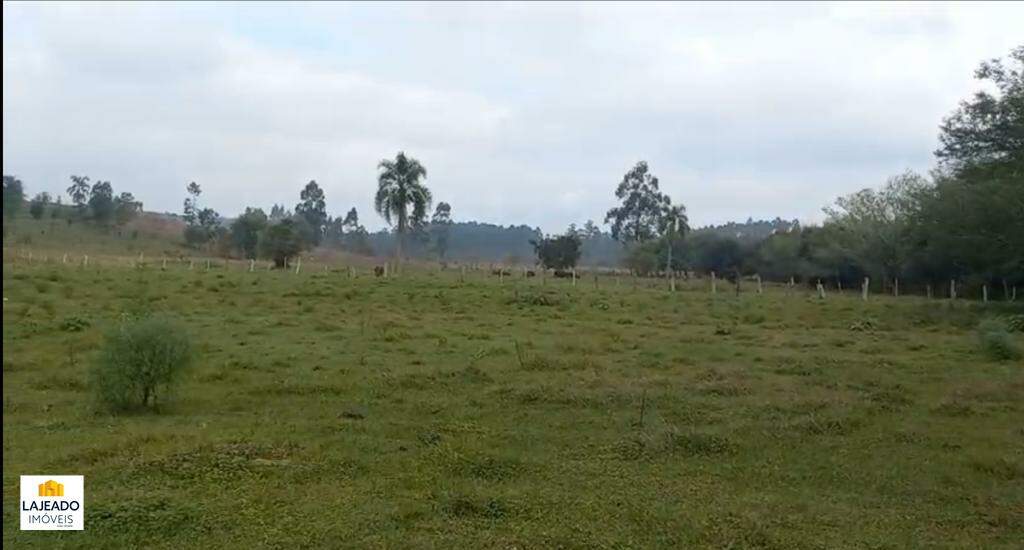 Fazenda à venda - Foto 3