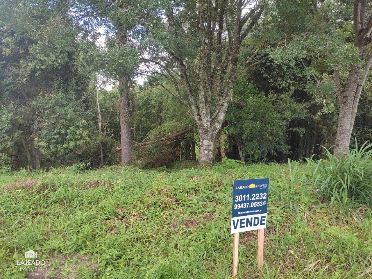 Terreno à venda no Carneiros: 