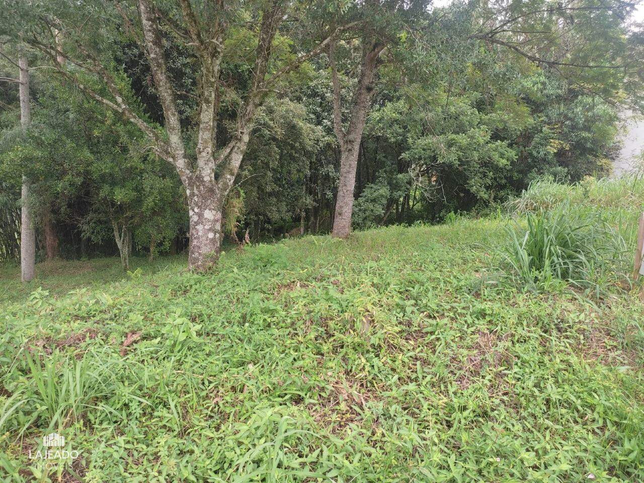 Terreno à venda no Carneiros: 