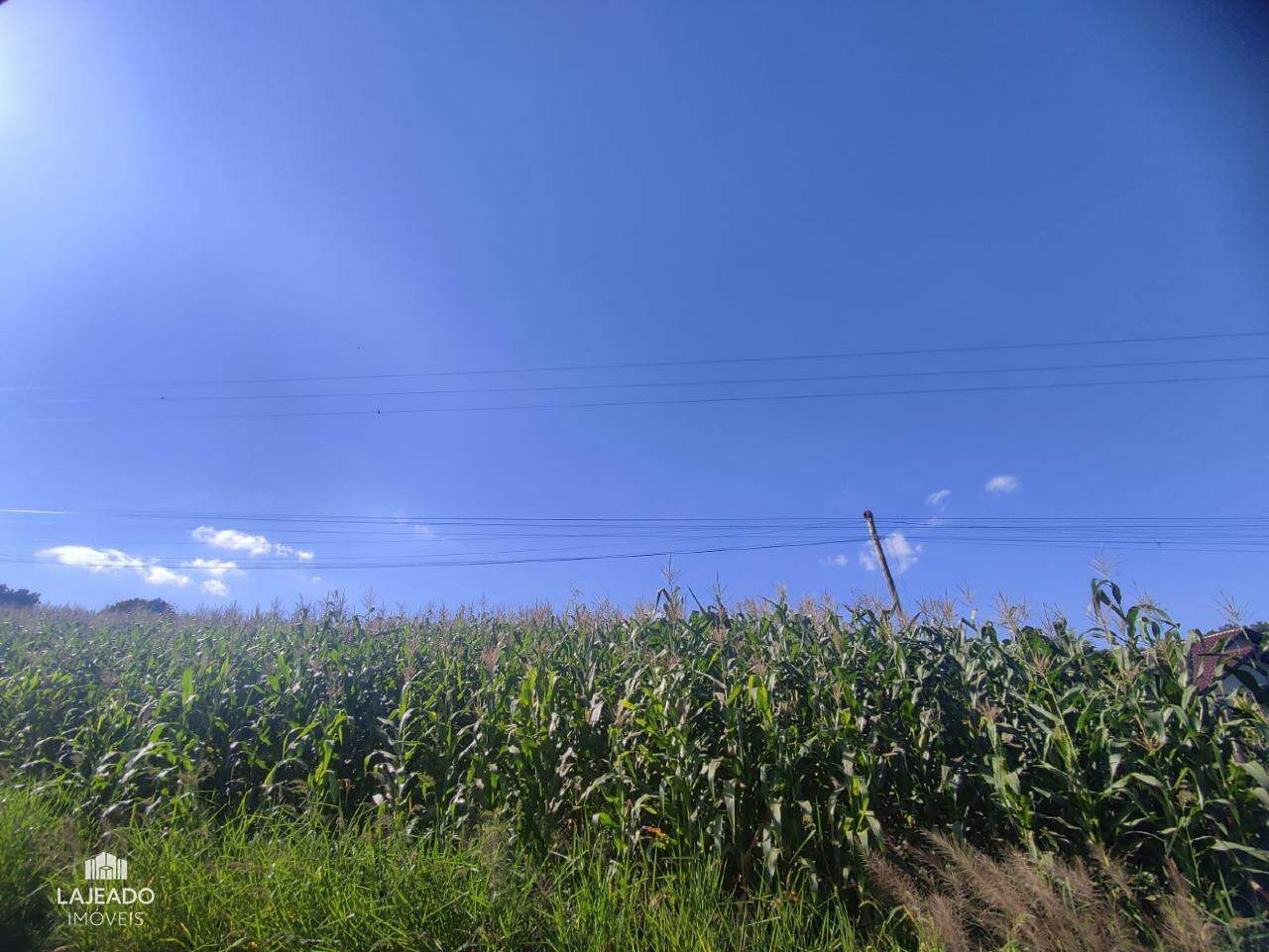 Fazenda à venda, 194m² - Foto 30