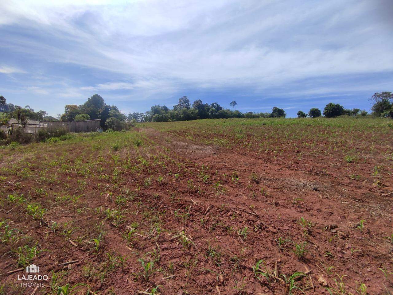 Terreno, 2 hectares - Foto 4