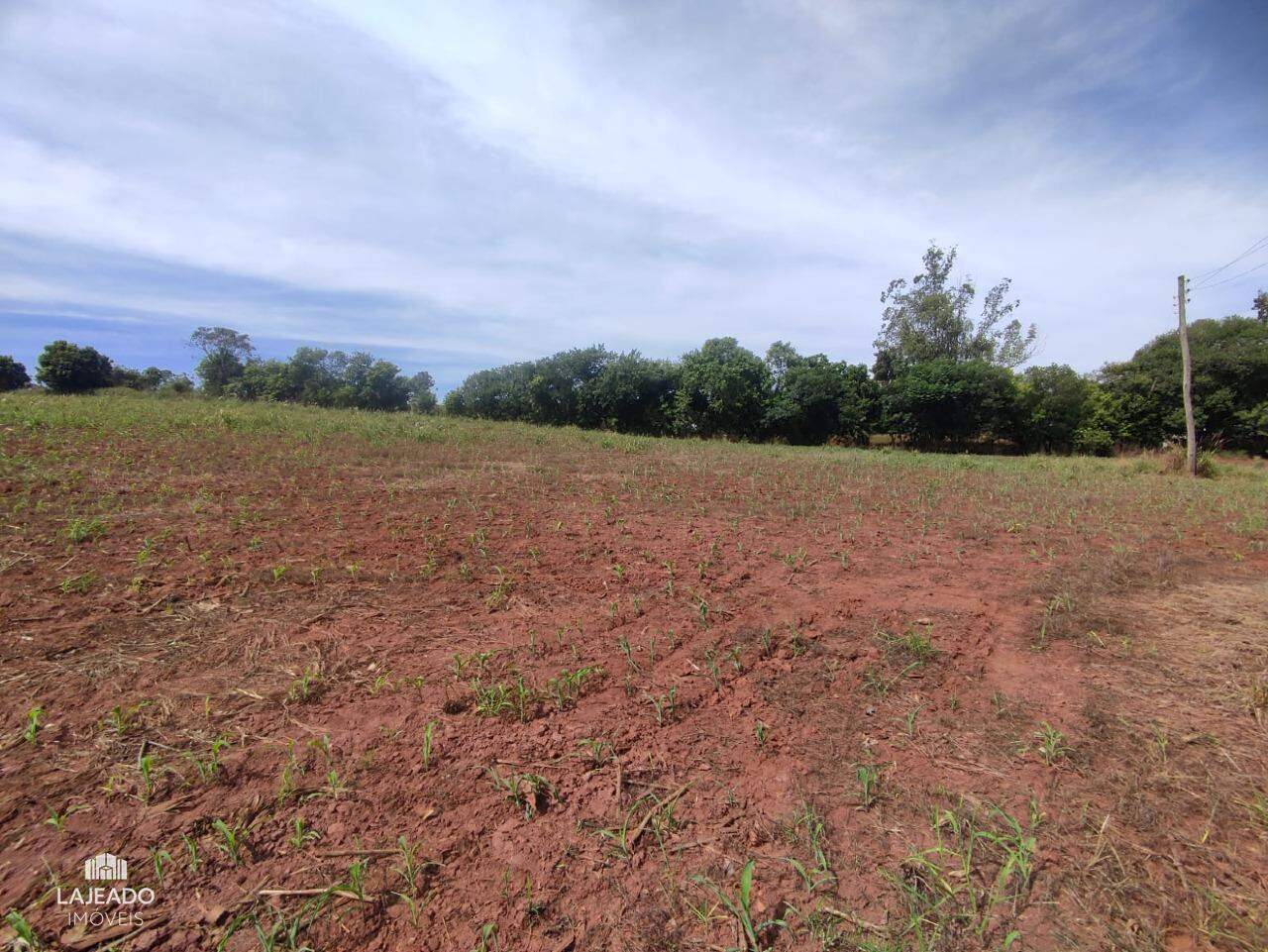 Terreno, 2 hectares - Foto 4