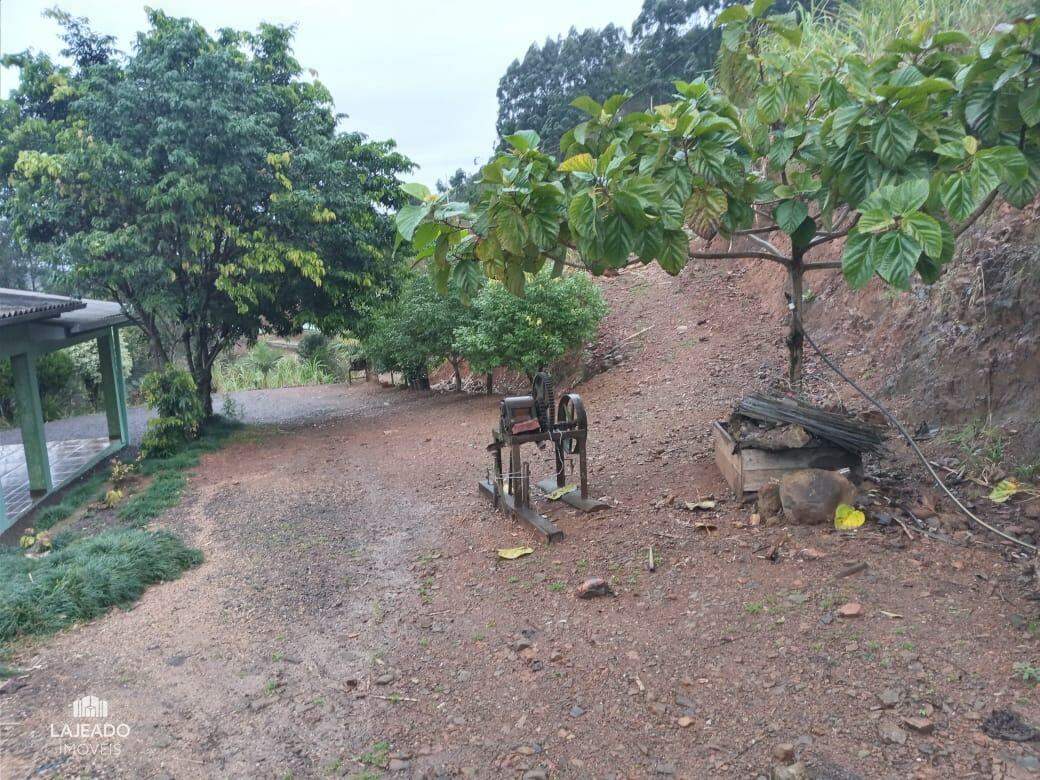 Fazenda à venda com 2 quartos - Foto 6