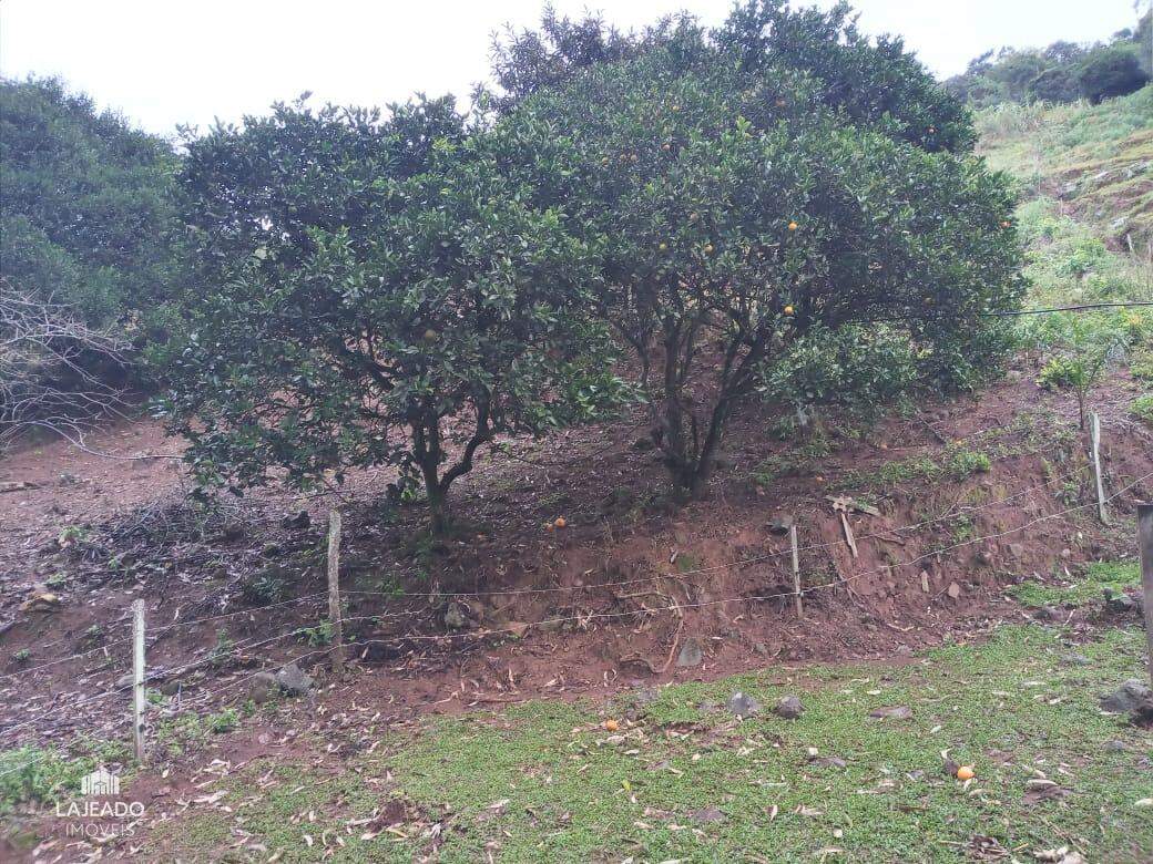 Fazenda à venda com 2 quartos - Foto 3