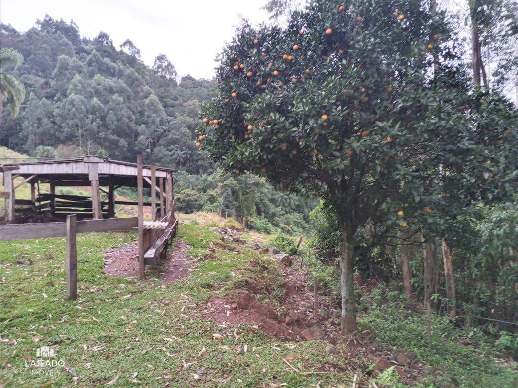 Fazenda à venda com 2 quartos - Foto 1