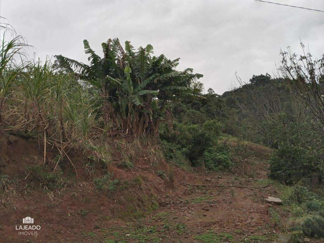 Fazenda à venda com 2 quartos - Foto 4