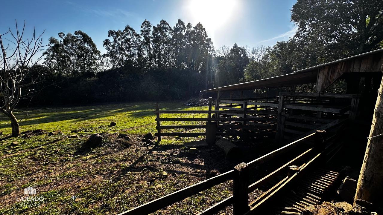 Chácara, 3 quartos, 4 hectares - Foto 23