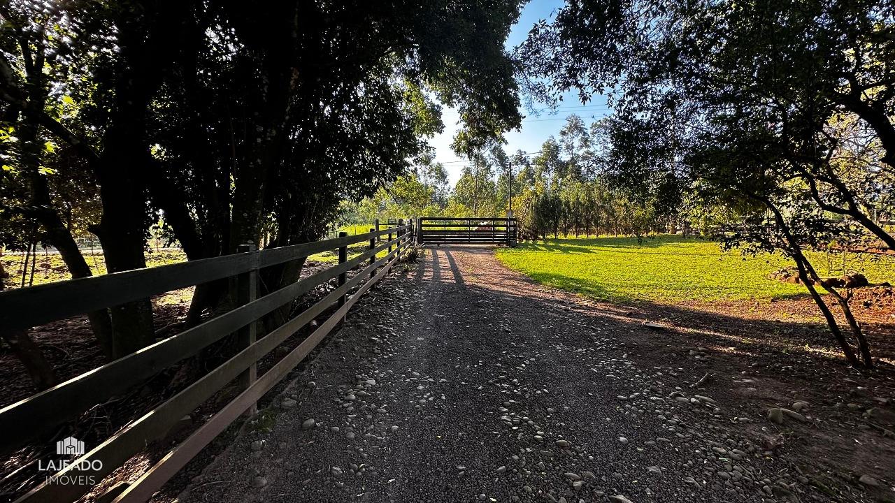 Chácara, 3 quartos, 4 hectares - Foto 11