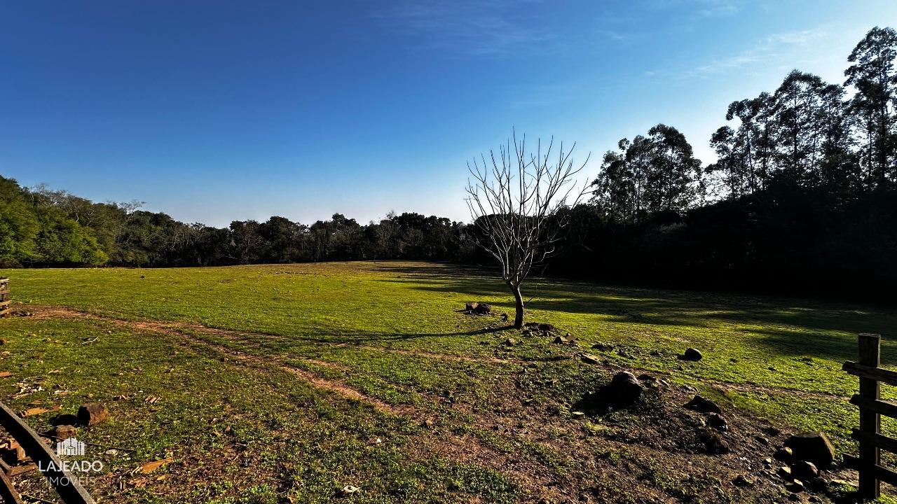 Chácara, 3 quartos, 4 hectares - Foto 28