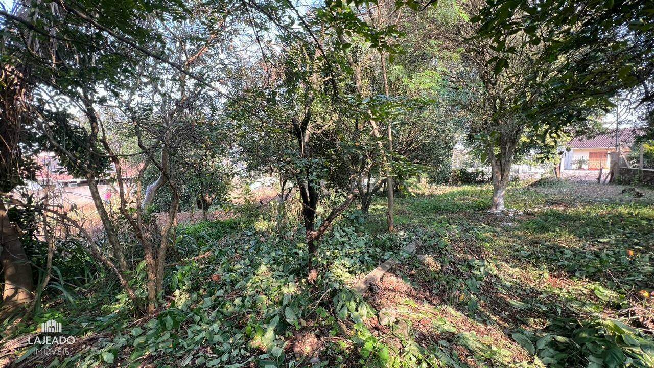 Terreno à venda, 360m² - Foto 3