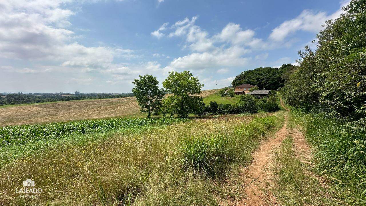 Fazenda à venda com 3 quartos, 140m² - Foto 4