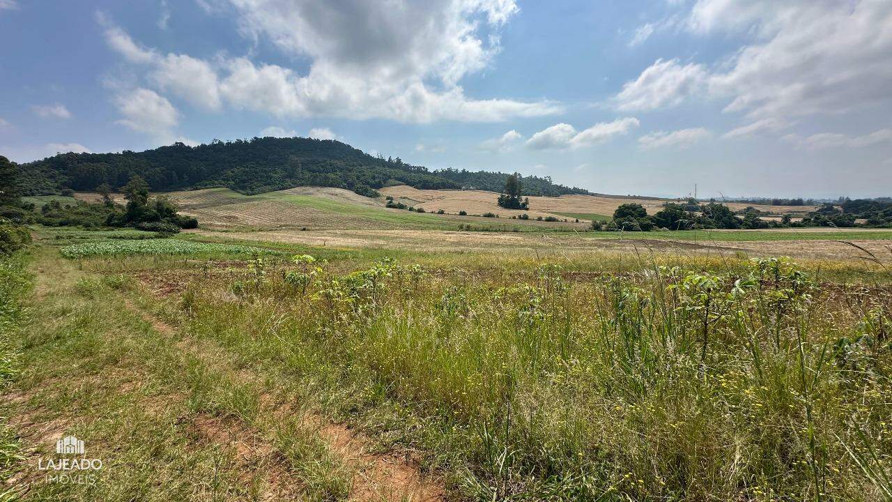 Fazenda à venda com 3 quartos, 140m² - Foto 6