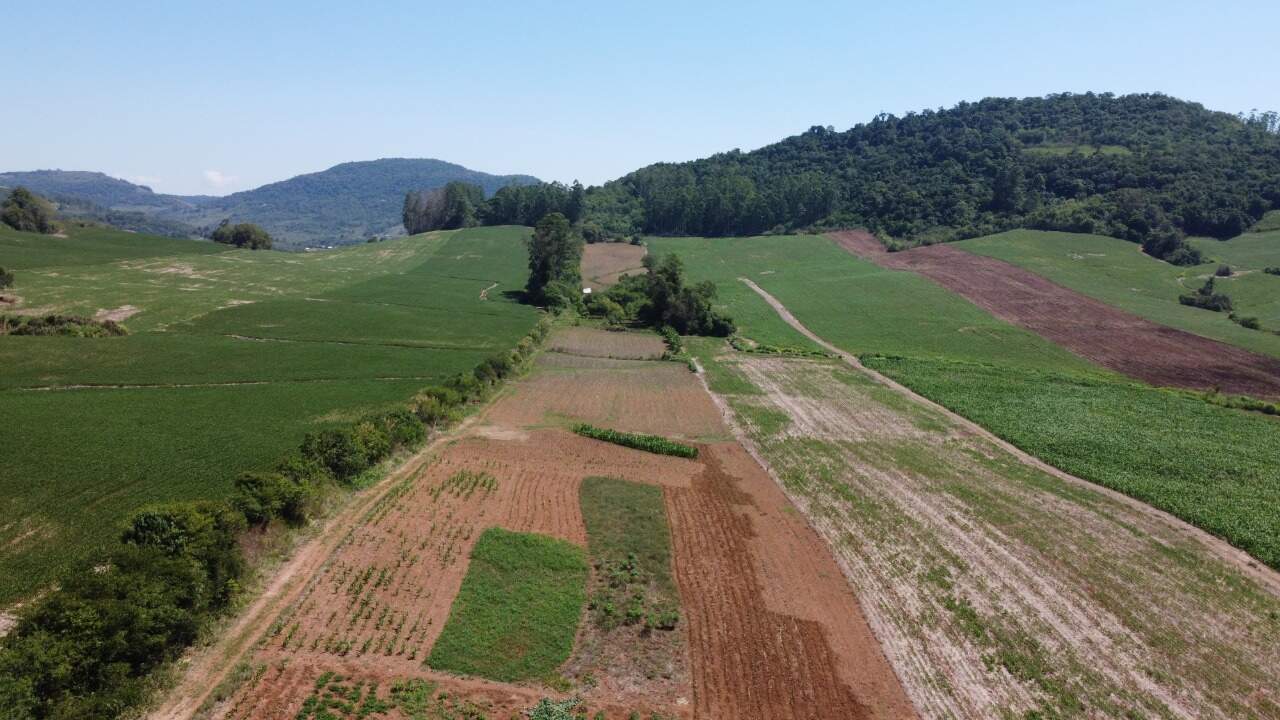 Fazenda à venda com 3 quartos, 140m² - Foto 11