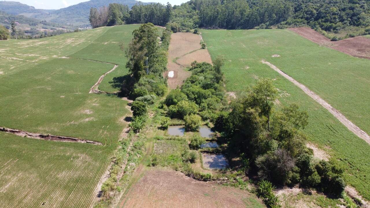 Fazenda à venda com 3 quartos, 140m² - Foto 12