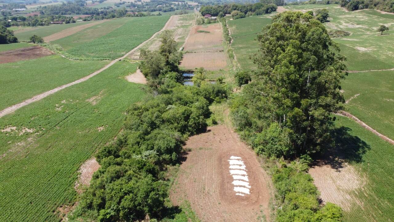 Fazenda à venda com 3 quartos, 140m² - Foto 14