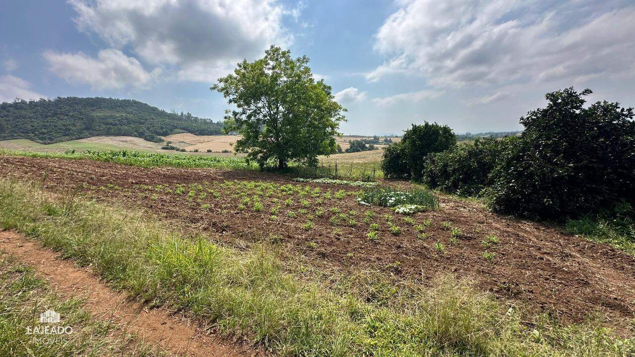 Fazenda à venda com 3 quartos, 140m² - Foto 10