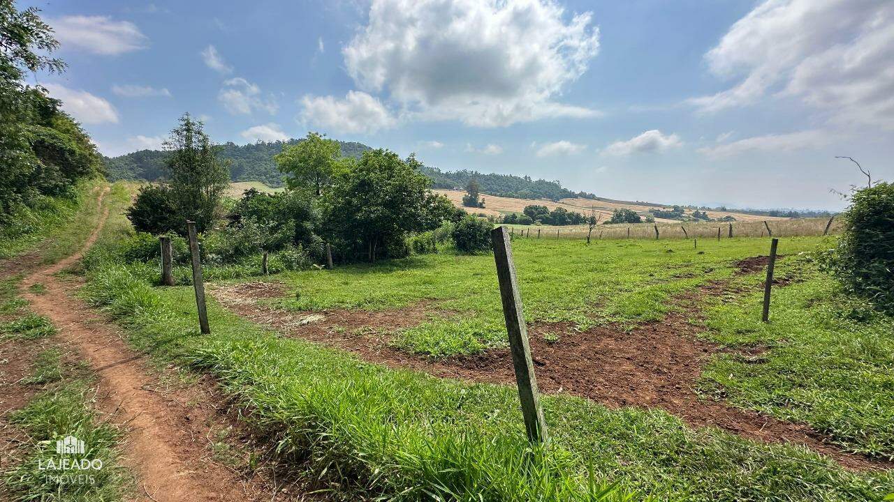 Fazenda à venda com 3 quartos, 140m² - Foto 8