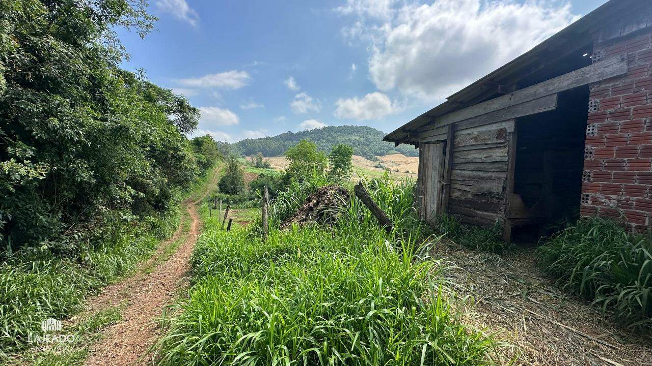 Fazenda à venda com 3 quartos, 140m² - Foto 7