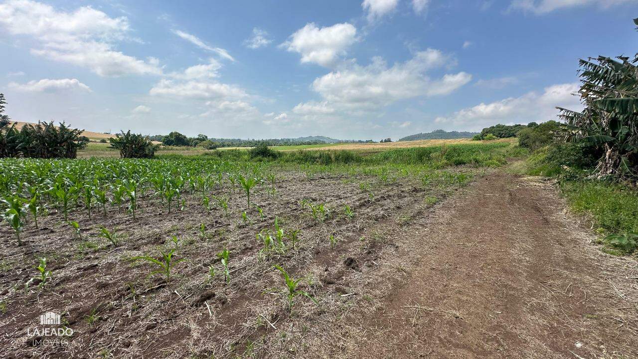 Fazenda à venda com 3 quartos, 140m² - Foto 5