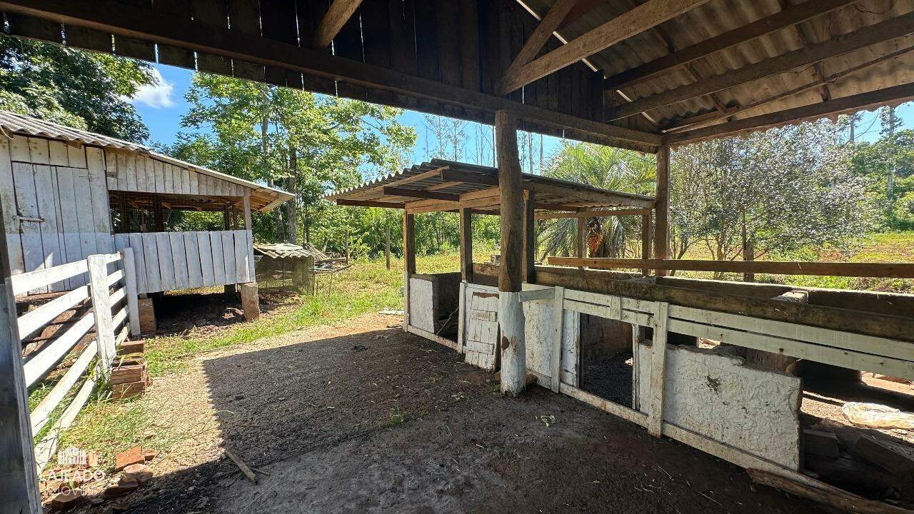 Fazenda à venda com 5 quartos, 150m² - Foto 6