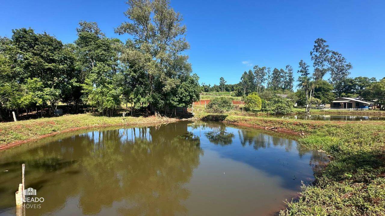 Fazenda à venda com 5 quartos, 150m² - Foto 23