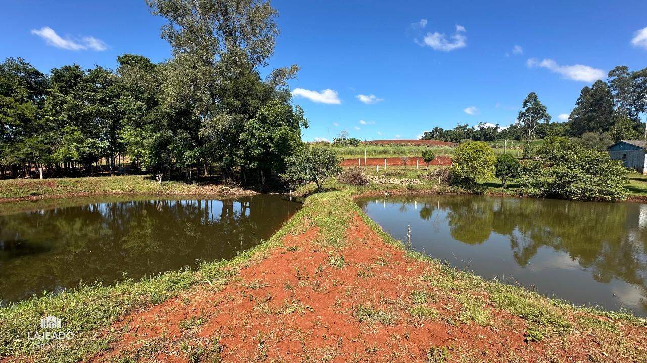 Fazenda à venda com 5 quartos, 150m² - Foto 13