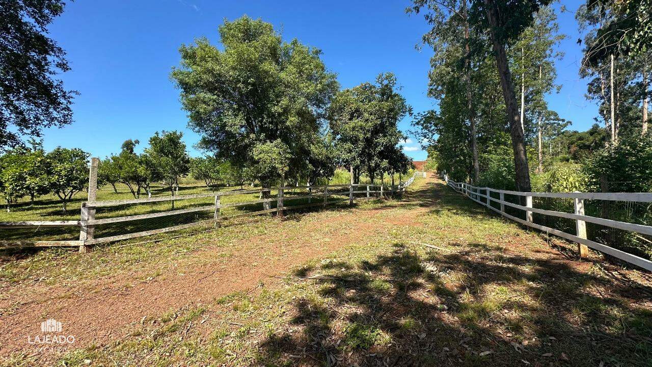 Fazenda à venda com 5 quartos, 150m² - Foto 3