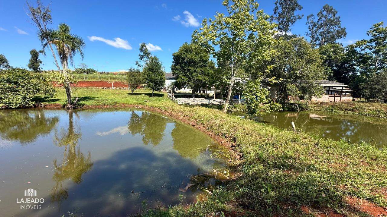 Fazenda à venda com 5 quartos, 150m² - Foto 14