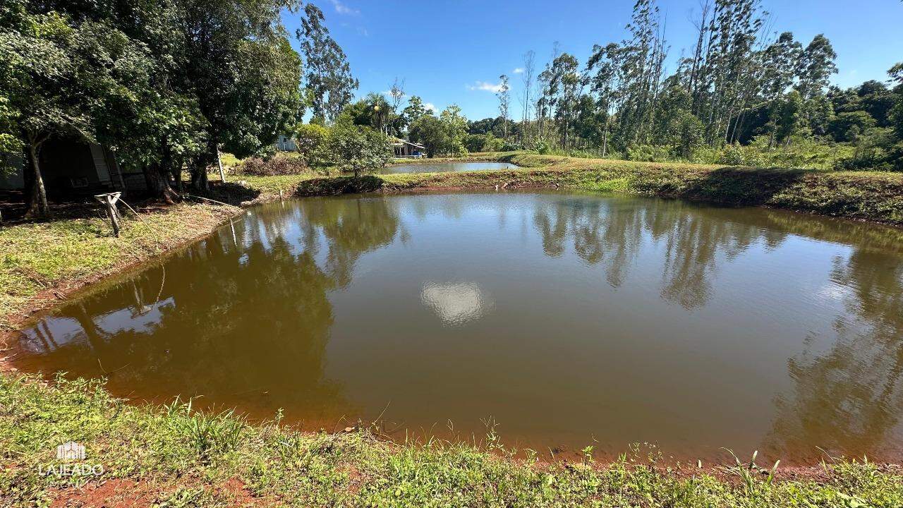 Fazenda à venda com 5 quartos, 150m² - Foto 22