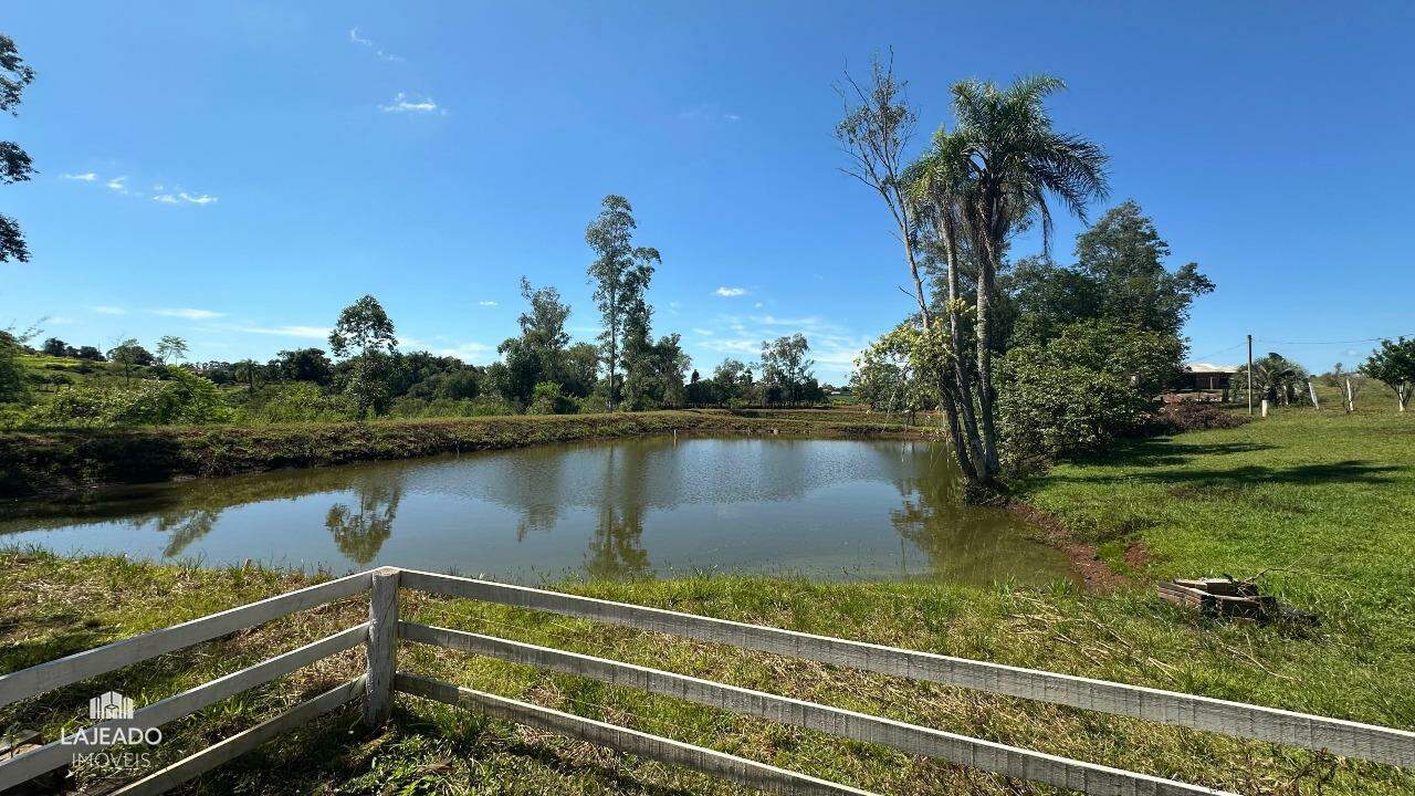 Fazenda à venda com 5 quartos, 150m² - Foto 21