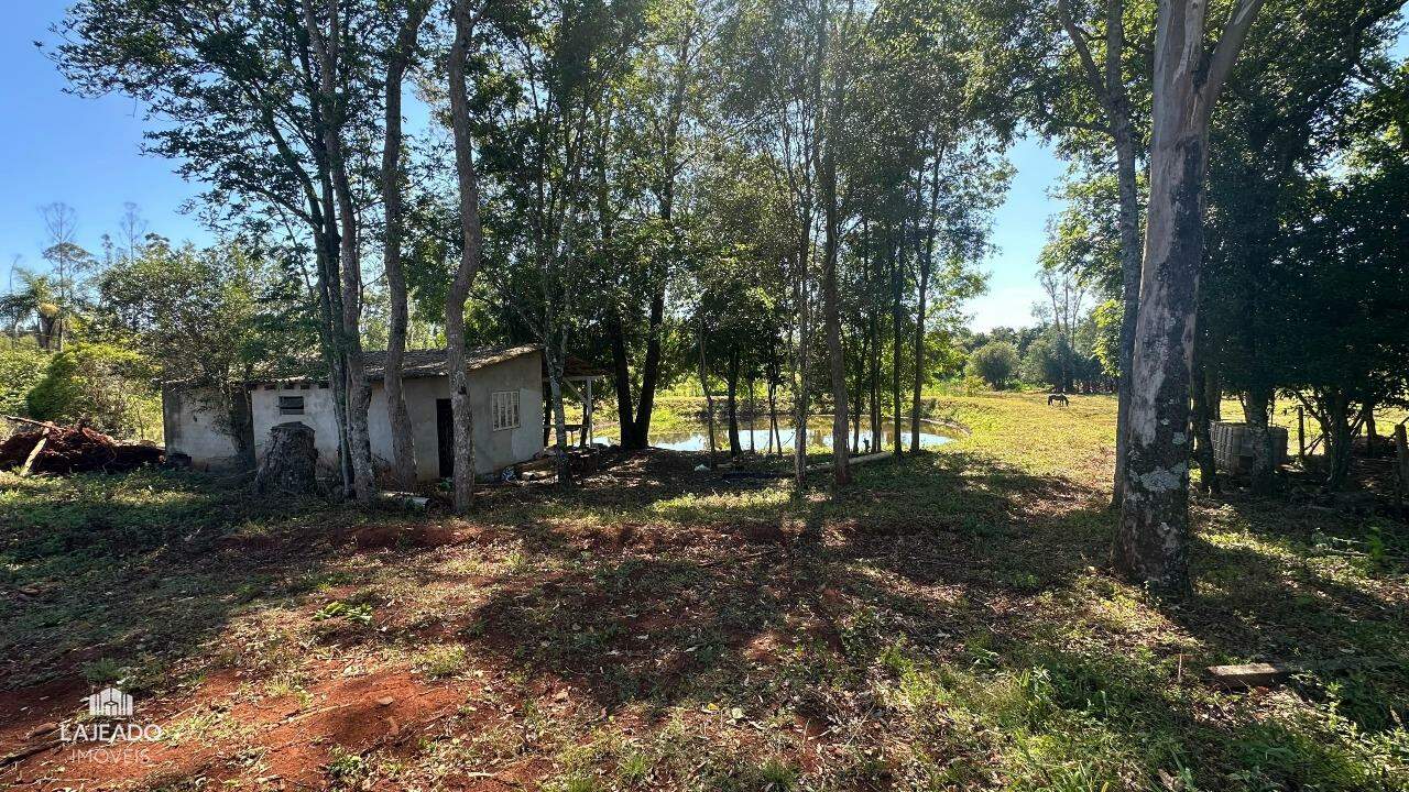 Fazenda à venda com 5 quartos, 150m² - Foto 9