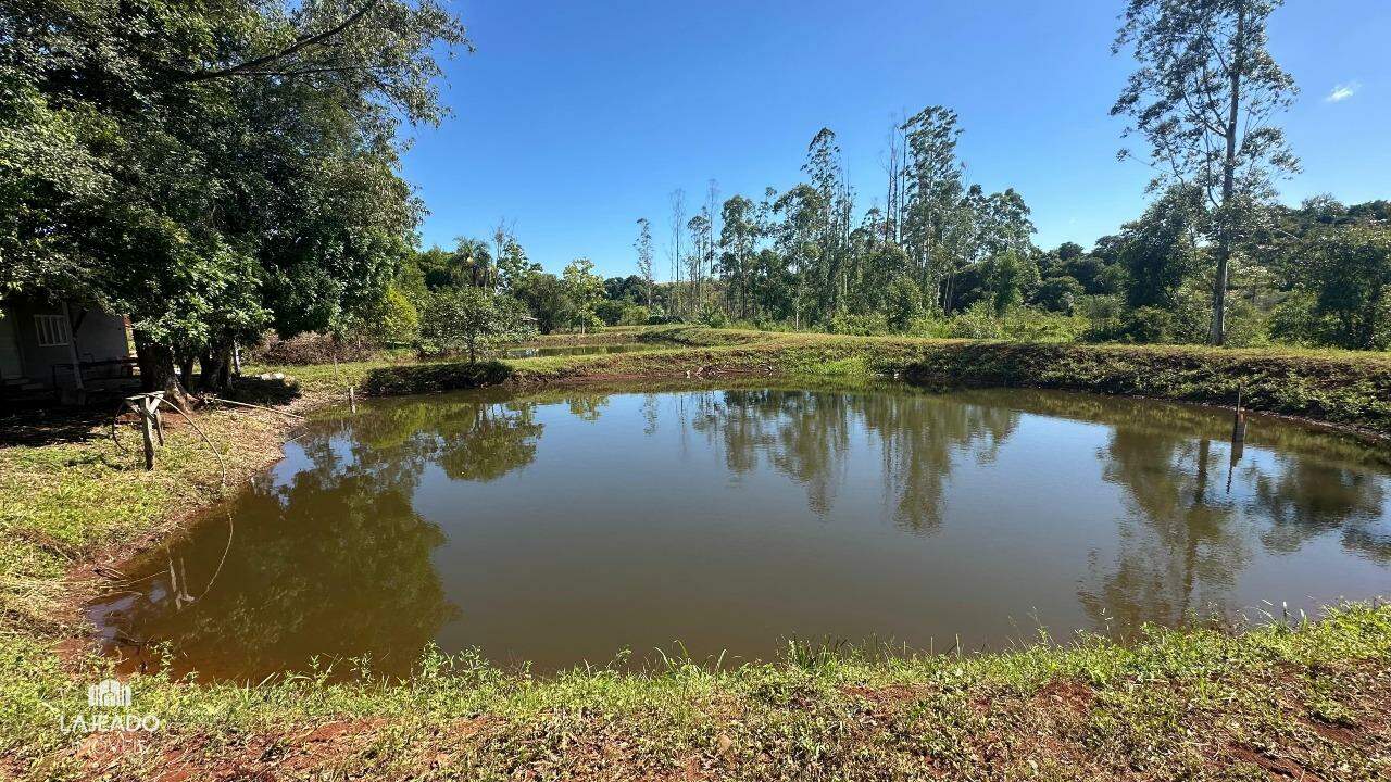 Fazenda à venda com 5 quartos, 150m² - Foto 10