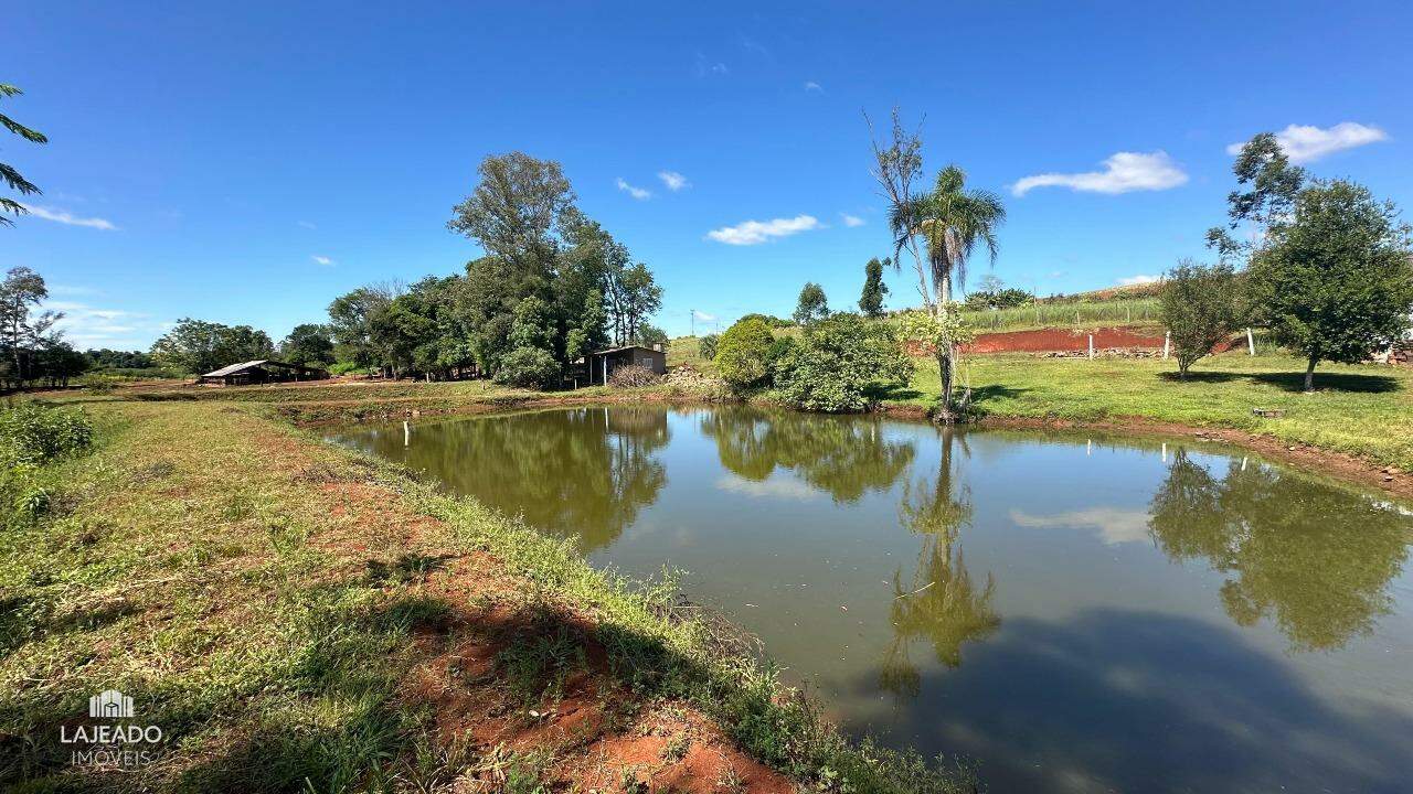 Fazenda à venda com 5 quartos, 150m² - Foto 29