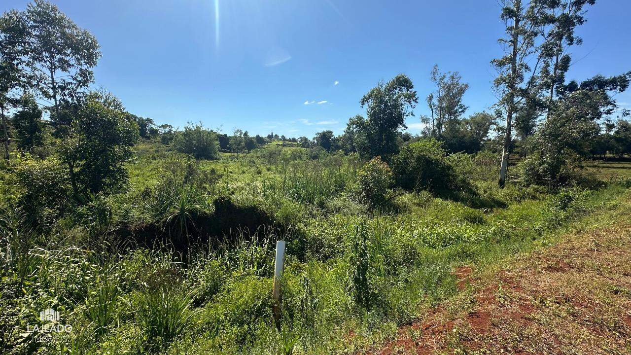 Fazenda à venda com 5 quartos, 150m² - Foto 27