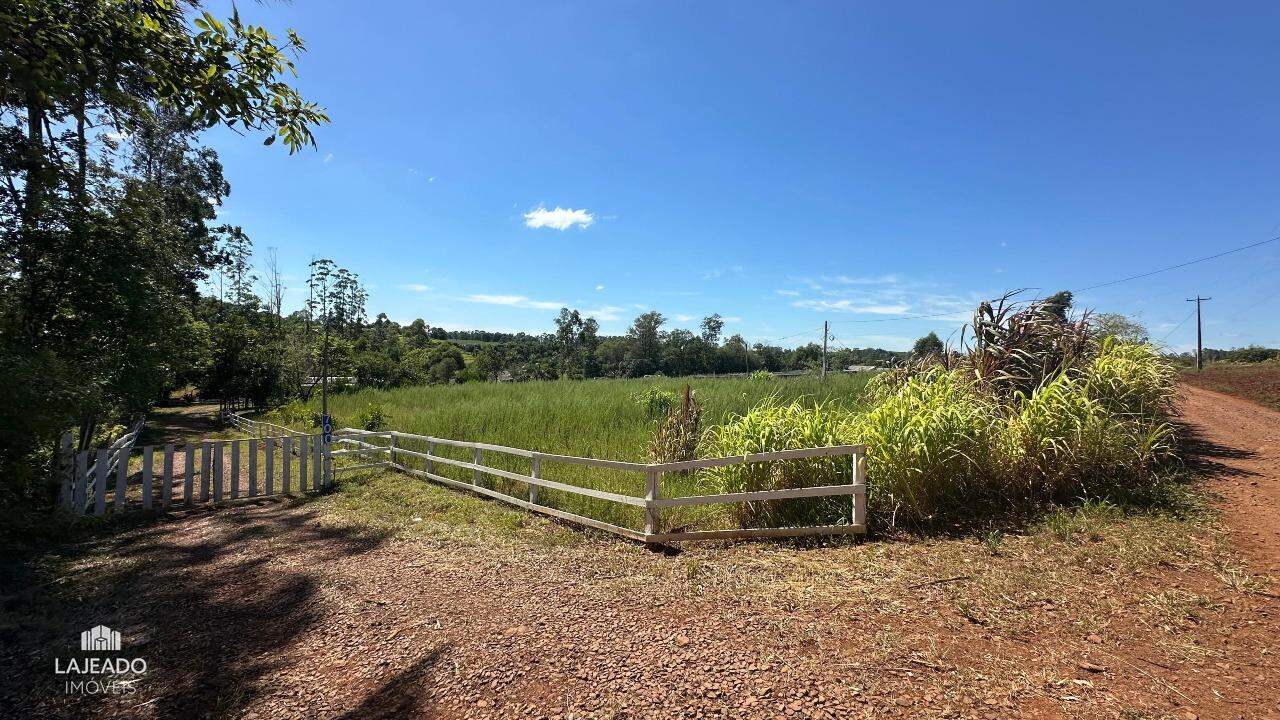 Fazenda à venda com 5 quartos, 150m² - Foto 20