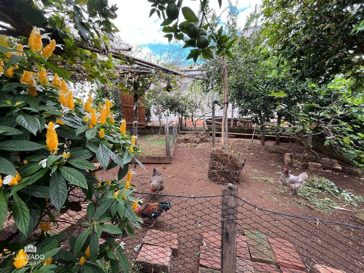 Casa à venda com 5 quartos, 200m² - Foto 23