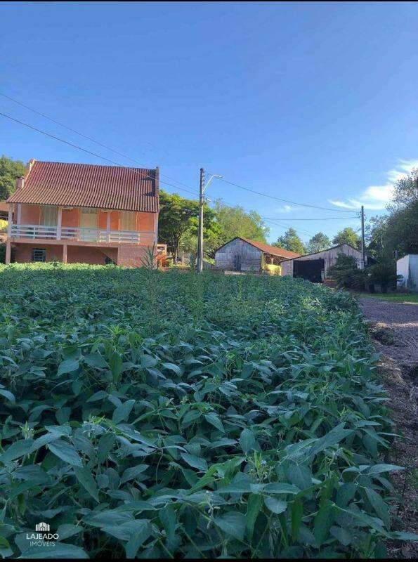Sítio à venda no Colinas: 
