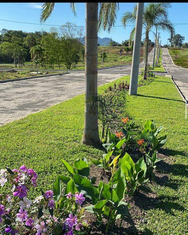 Terreno, 479 m² - Foto 3