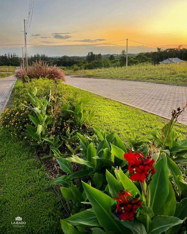 Terreno, 479 m² - Foto 1