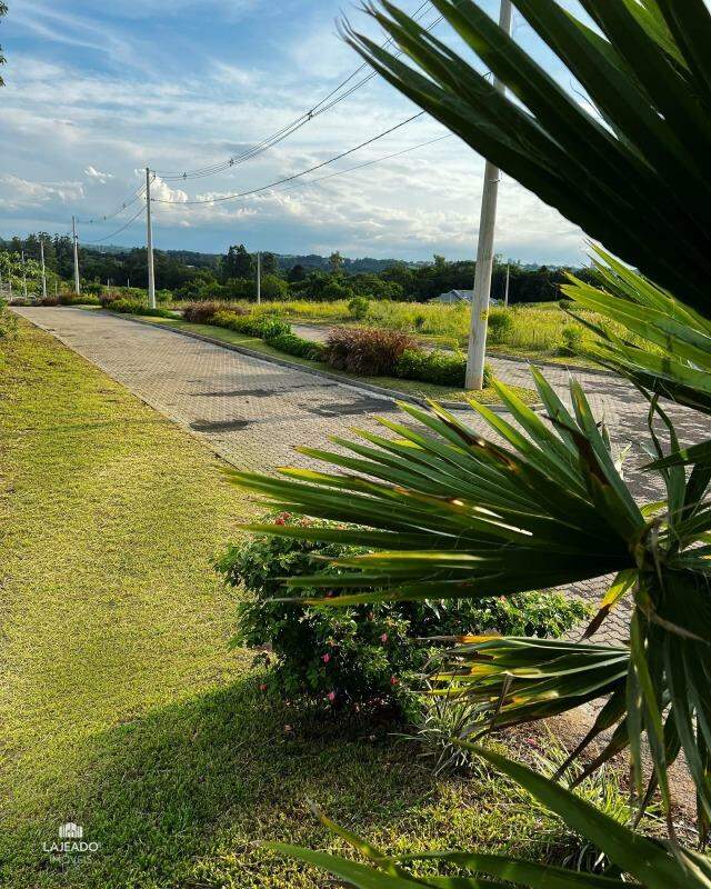 Terreno, 479 m² - Foto 4