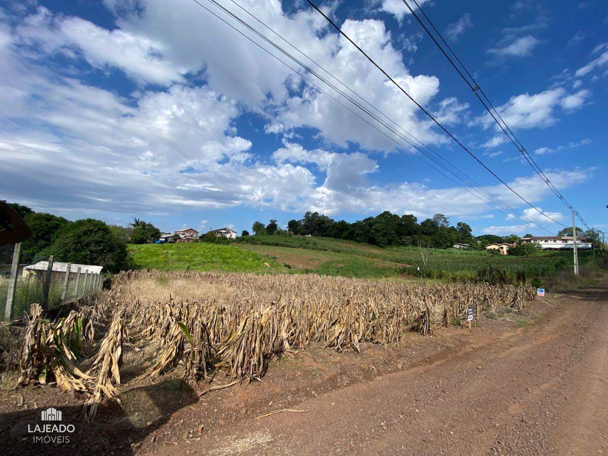 Terreno à venda, 3500m² - Foto 3