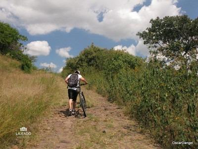 Chácara, 10000 m² - Foto 3