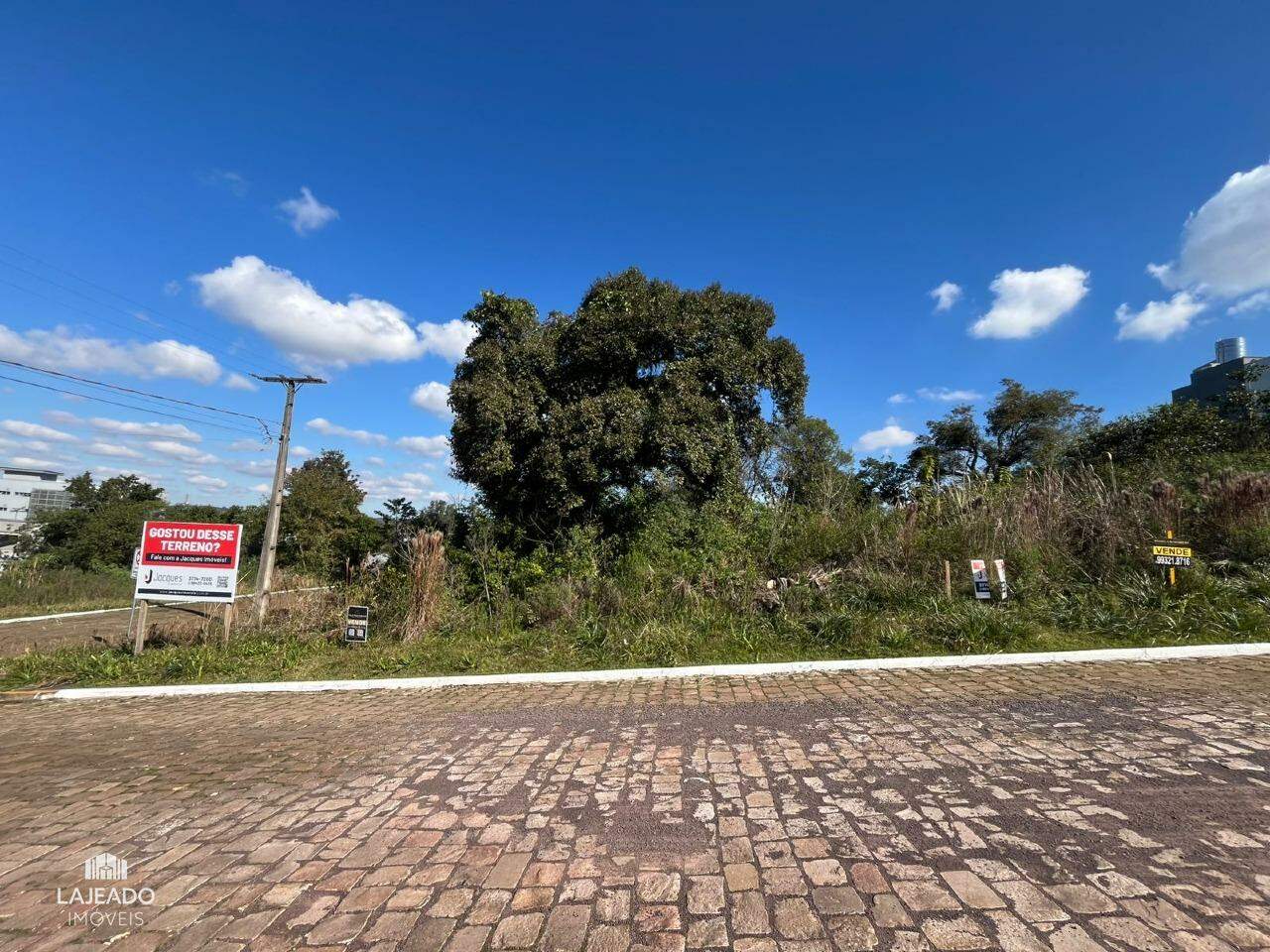Terreno à venda, 450m² - Foto 2