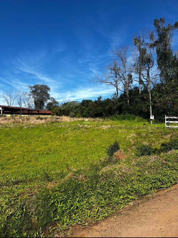 Terreno, 1000 m² - Foto 2